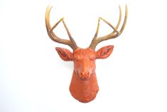 an orange deer head mounted on the wall