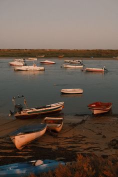 there are many small boats in the water