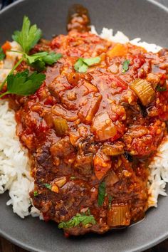 a close up of a plate of food with rice and meat on the side, garnished with parsley