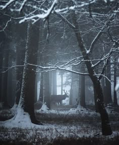 a deer standing in the middle of a forest with snow on it's ground