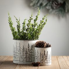 two tin cans filled with plants and pine cones