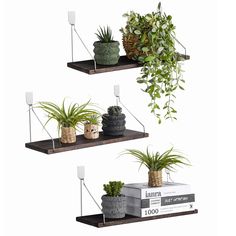 three shelves with plants and books on them