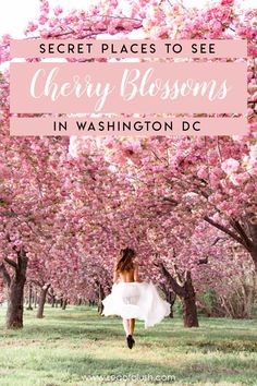 a woman in a white dress is walking through the trees with pink blossoms on it