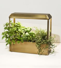 a gold planter with green plants in it