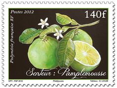 a postage stamp with two limes and leaves on the front, one is green