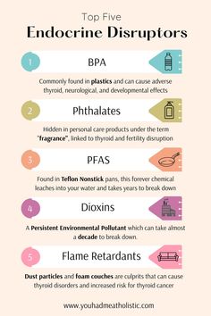 Endocrine Disruptors-BPA, Phthalates, PFAS, Dioxins, & Flame Retardants. Learn what endocrine disrupting chemicals are, what they do to your health, common sources of endocrine disrupting chemicals, and easy swaps to avoid them and reduce your exposure. Hormonal Acne Diet, Hormone Nutrition, Fibroid Diet, Easy Swaps, Hormone Imbalance Symptoms, Low Estrogen Symptoms, Too Much Estrogen, Newborn Feeding, Low Estrogen