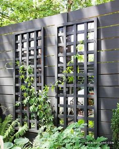 an outdoor garden with lots of plants growing on the side of a fenced in area