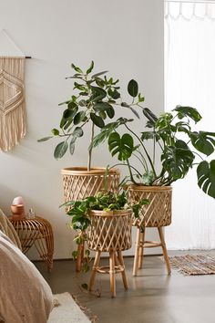 three plants in wicker baskets on the floor next to a bed with white walls