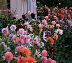 many different colored flowers in front of a house