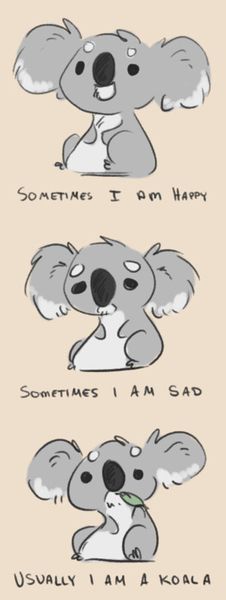 ♡ Pinterest: @Spritetual ♡ Koala Meme, Funny Koala, The Wombats, Baby Koala, Koala Bear, الرسومات اللطيفة, Koala