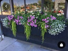 purple and white flowers are in a window box on the side of a storefront