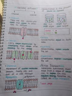 a notebook with some writing on it and an image of different things in the pages