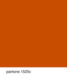 an orange pantone color is shown with the words pantone 156c on it