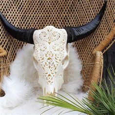 a white cow skull sitting on top of a wicker chair next to a potted plant