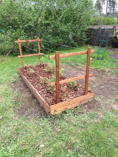 a garden bed made out of wood and wire with plants growing in the top half