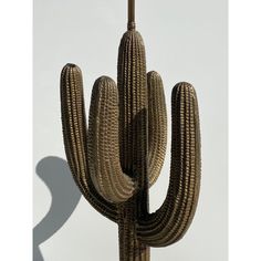 a large cactus is standing in front of a white wall