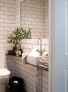 a white toilet sitting next to a sink in a bathroom under a mirror above a wooden shelf