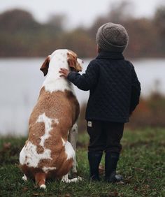 a little boy standing next to a brown and white dog