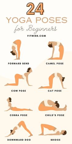 24 Yoga Poses for Beginners - Get to Know the Basic Yoga Asanas Beginner Yoga At Home, Basic Yoga For Beginners, Night Time Yoga, Yoga For Relaxation, Do List, Morning Yoga Routine, Daily Yoga Workout