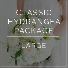 the words classic hydrangea package large are in front of a bride's bouquet