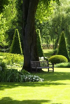 a wooden bench sitting in the middle of a lush green park filled with trees and bushes