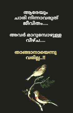 two birds sitting on top of a tree branch in front of a black background with words written