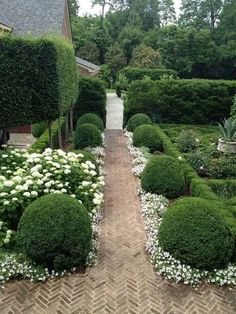 a brick walkway surrounded by white flowers and greenery in the middle of a garden