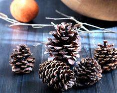 three pine cones sitting on top of a wooden table