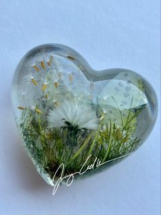 a glass heart with dandelions in it