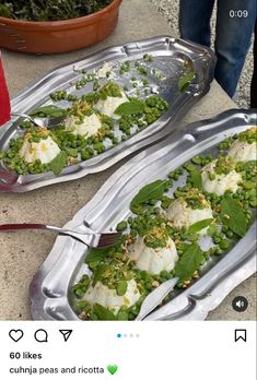 two silver trays filled with food on top of a cement floor next to a potted plant