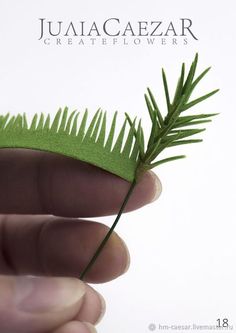 a hand holding a green piece of grass