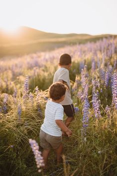 two young boys are playing in a field of wildflowers with the sun setting behind them