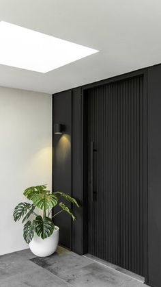 a potted plant sitting in front of a black and white door with lights on