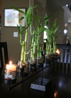 there are many small vases with plants and rocks in them on the table next to each other