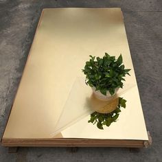 a potted plant sitting on top of a wooden table next to a mirror that is upside down