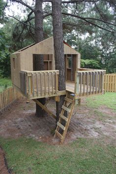 a tree house built into the side of a tree in a yard with stairs leading up to it