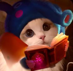 a white cat wearing a blue hat reading a book