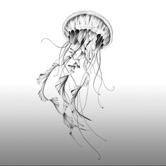 a black and white photo of a jellyfish floating in the water with it's long tentacles