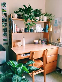 a wooden desk sitting next to a green plant on top of a wooden shelf in a room