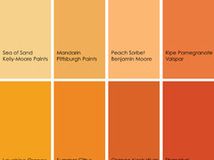 an orange and yellow color scheme with different shades