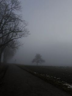 a foggy road with trees on both sides and one lone tree in the distance