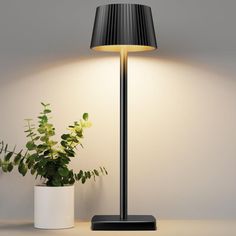 a lamp that is next to a potted plant