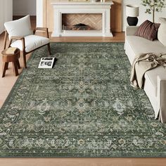 a living room filled with furniture and a large rug on top of a hard wood floor