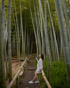 a woman standing in the middle of a bamboo forest