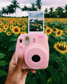 a person holding up a pink camera in front of a field of sunflowers