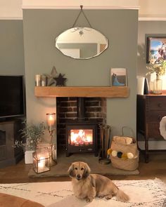 a dog laying on the floor in front of a fireplace with a mirror above it