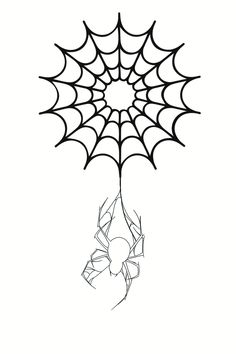 a spider web drawing on a white background