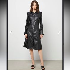 New With Tag Faux Leather Dress Smoke And Pet Free House Faux Leather Dress, House Sold, Bcbgmaxazria Dresses, Day Dress, Leather Dress, Dresses Xs, Day Dresses, Colorful Dresses, Faux Leather