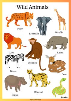 an animal poster with different types of animals