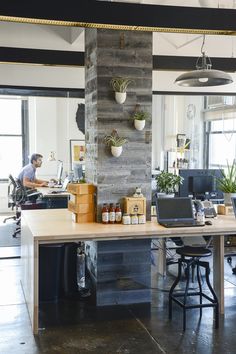 an office with two desks, computers and plants on the wall in front of them